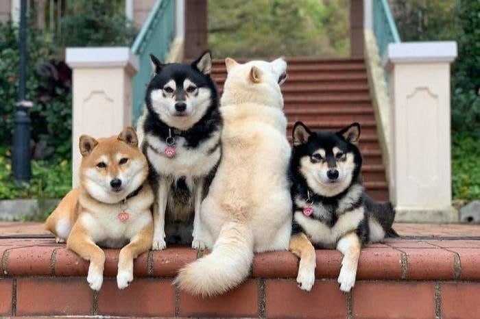 a  a- aaa,        a   a. ...