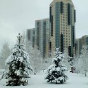 ���� �������, ����������, 53 ���� - ��������� 24 ������ 2020 � ������ ���� ����������