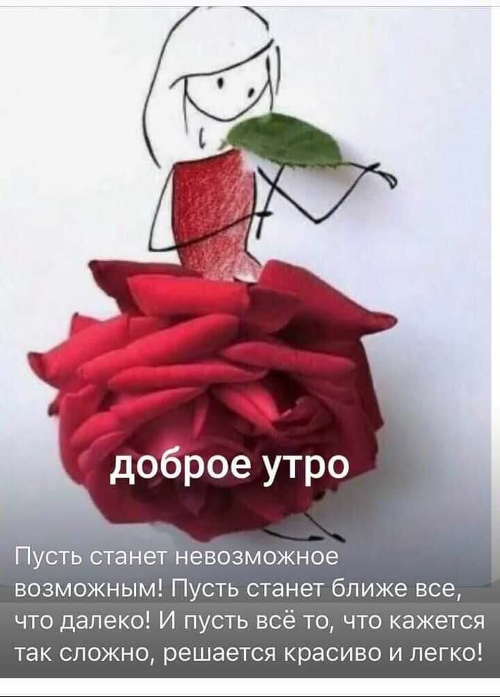  ,    . - 17  2020  00:46 - 3