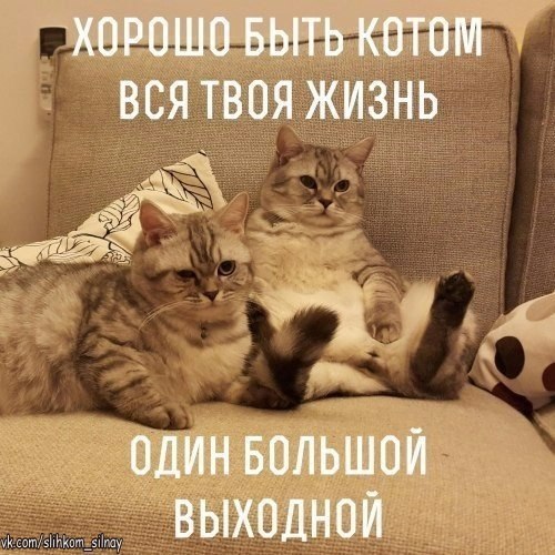  ,  .© - 21  2021  11:22