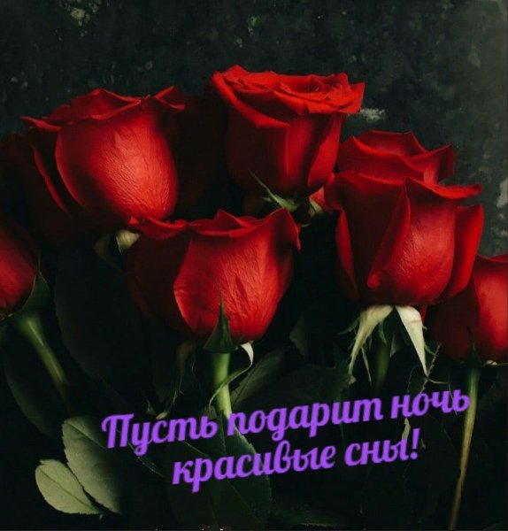   ,    . - 12  2020  21:33