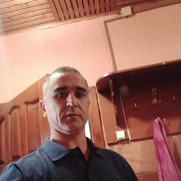 ������, ������, 43 ����