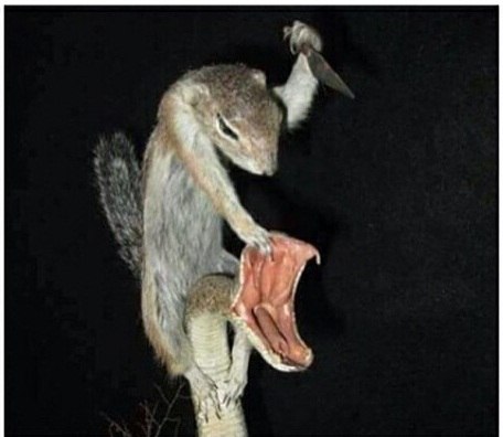   !