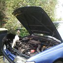 ���� ������, ���������, 51 ��� - ��������� 11 ������ 2021 � ������ ���� ����������