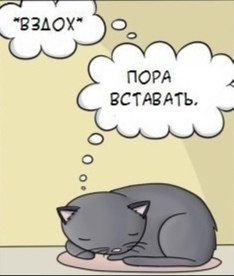   )))