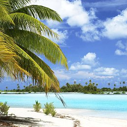 �����, �������, 42 ����