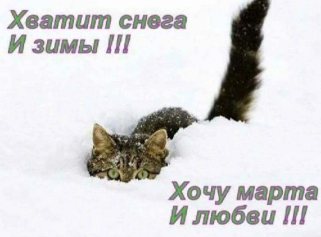 - 23  2021  09:03