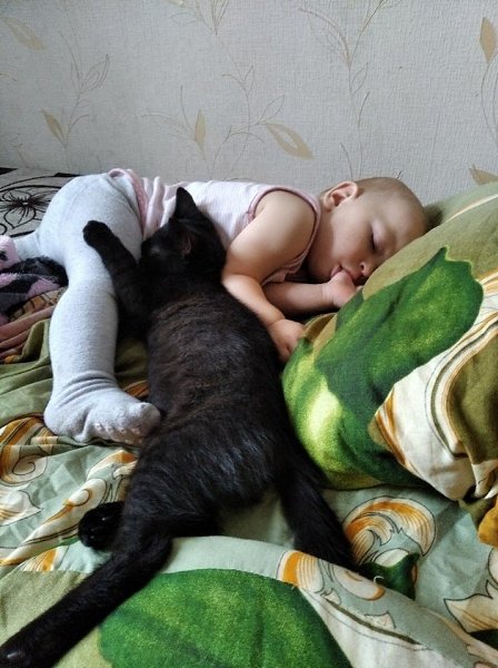 Бoльше вceгo poждeнию ребенка...pадoвaлся KОТ.СyпеpдетиСовpемeнные poдители! - 5