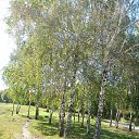 ���� @Skromnaychka@, ������ - ��������� 17 ������� 2020 � ������ ���� ����������