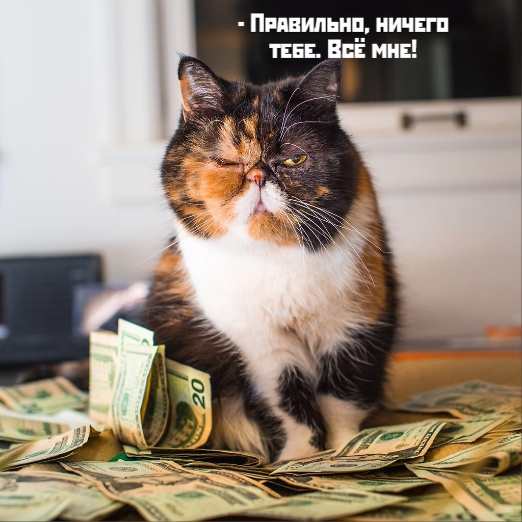      - 20  2021  12:12 - 3
