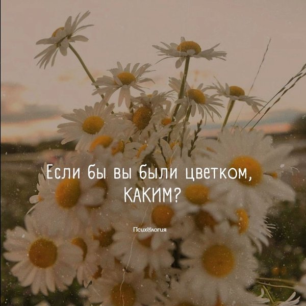 : 
