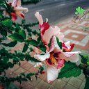 ���� ������, ���������, 59 ��� - ��������� 28 ������� 2020 � ������ ���� ����������