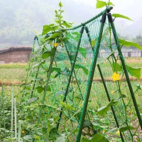 Как правильно подготовить грядки для посева огурцов. Перед тем как начать вскапывать грядку, ...