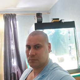 �����, ������, 51 ���