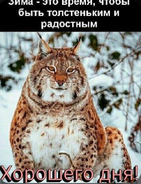 ***Victoria Viktorovna*** - 28  2021  04:04