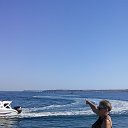 ���� �����, ����� - ��������� 24 ������� 2020 � ������ ���� ����������