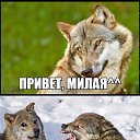 ���� �����, ������ ��������, 45 ��� - ��������� 24 ������ 2020 � ������ ���� ����������