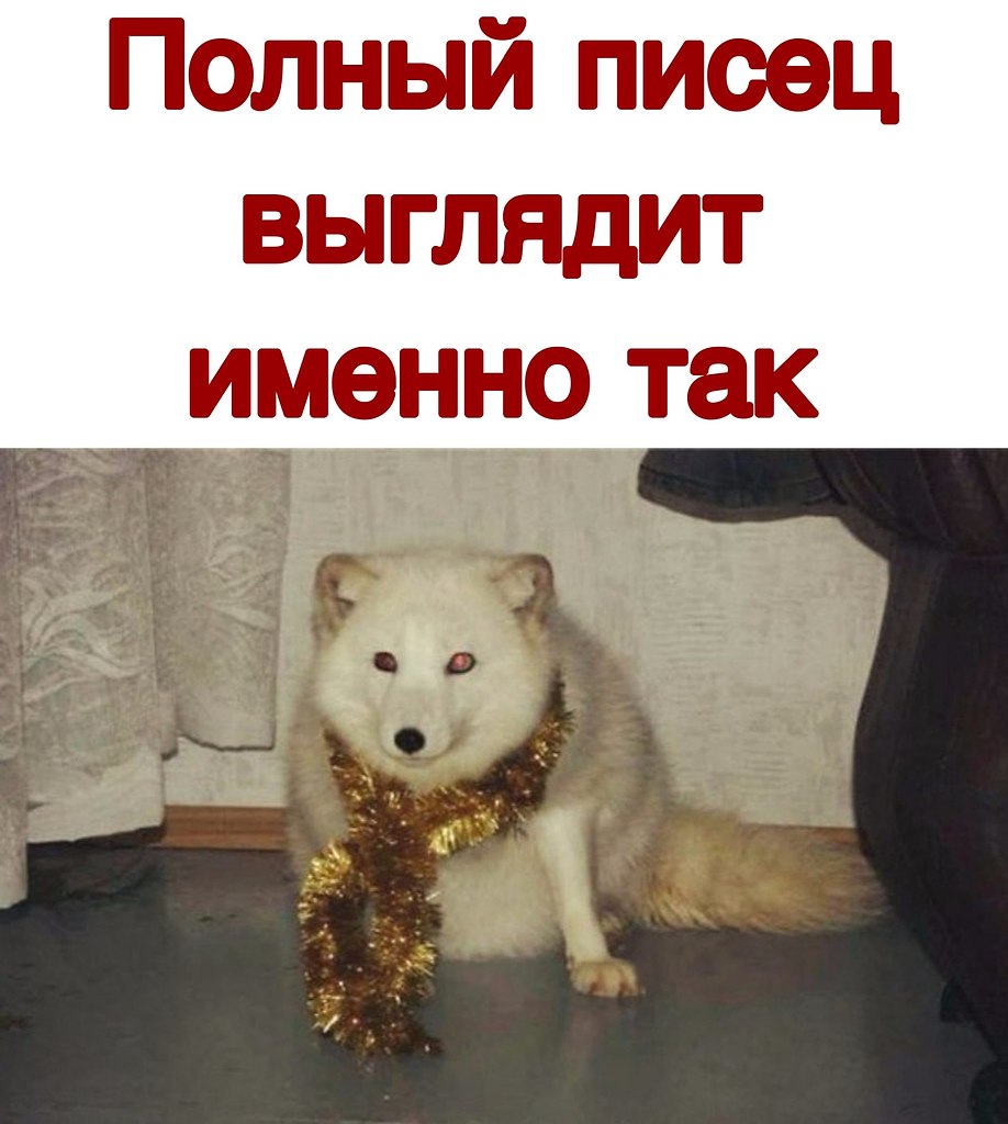  - 16  2020  20:21