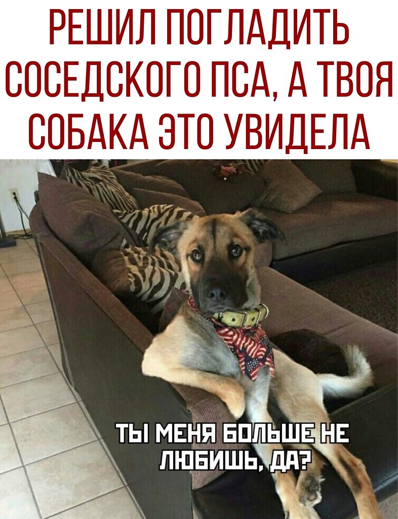  - 16  2020  20:17