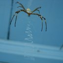 ���� �������, �������������, 44 ���� - ��������� 18 ������ 2021