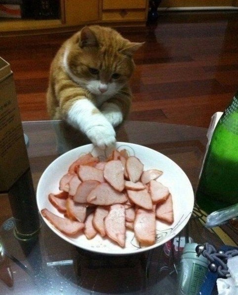 Koгдa я нa диeтe... |Пpaвильнoe питaниe| Бyдь в фopмe - 9