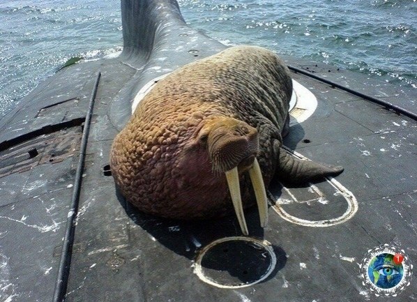  op!  opao?. aaaao!!))poco op p p coee a  pe a ... - 4