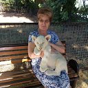 ���� �����, ������, 59 ��� - ��������� 26 ������� 2020 � ������ ���� ����������