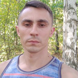 �����, ��������, 46 ���