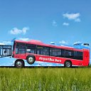 ���� �����, ����������� - ��������� 26 �������� 2020 � ������ ���� ����������