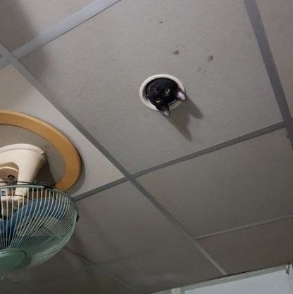 E  ap  ao  e  c coo a,    a,  o  ee  pe. - 2