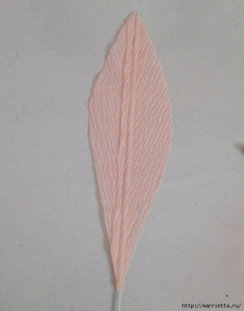 ����� - 5