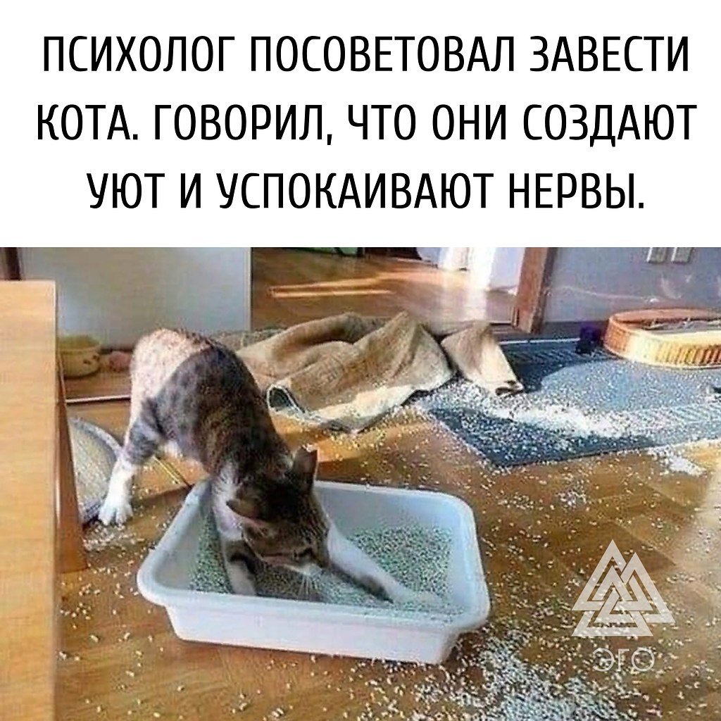  | ,  - 16  2021  23:13