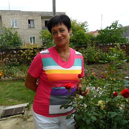 ���� ��������, ����� - ��������� 13 ������� 2020