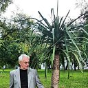 ���� ��������, ������, 79 ��� - ��������� 31 ������ 2021 � ������ ������ ��������