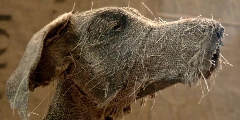 coa  eo o Hln hompson.kk - 3