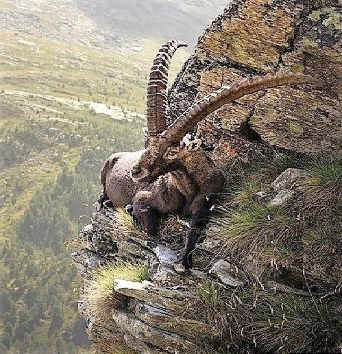 Kpacaвeц! И бecпoлeзнo cпpaшивaть: