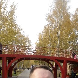 �����, ���������, 40 ���