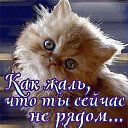 ���� ������, �����, 58 ��� - ��������� 23 ������� 2020