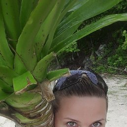 �����, ������