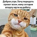 ���� �����, ������ - ��������� 17 ������ 2020 � ������ ���� ����������