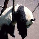 ���� ����, �����-���������, 50 ��� - ��������� 12 ������� 2020 � ������ ���� ����������