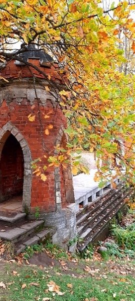 Золотая осень в Пушкине. Делитесь вашими фотографиями осени! Фото: Света Светлана - 5