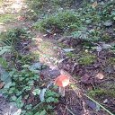 ���� ������, ������� - ��������� 26 �������� 2020 � ������ ���� ����������