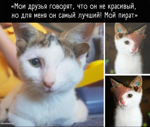 Не бывает некрасивый животных, бывают люди, которые этого не понимают.