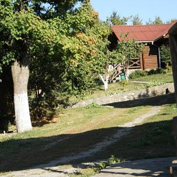 , , 52 