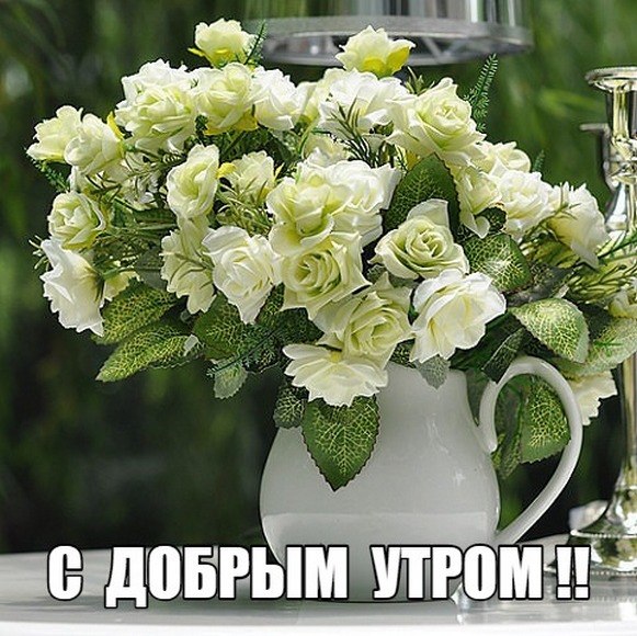   ,    . - 15  2021  00:04 - 5