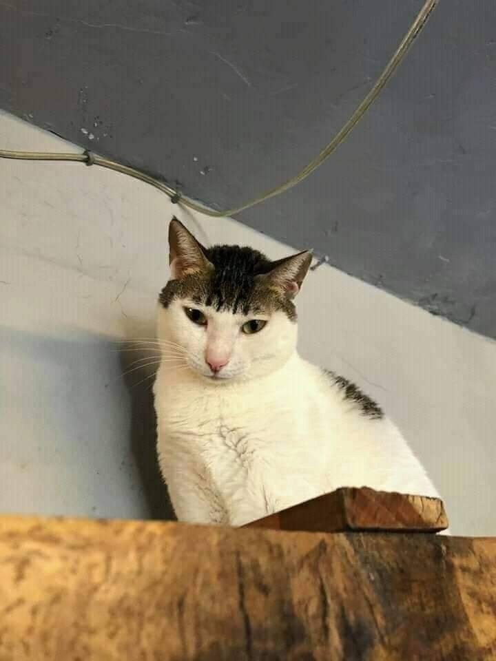   ,   ,      ,      ... - 3