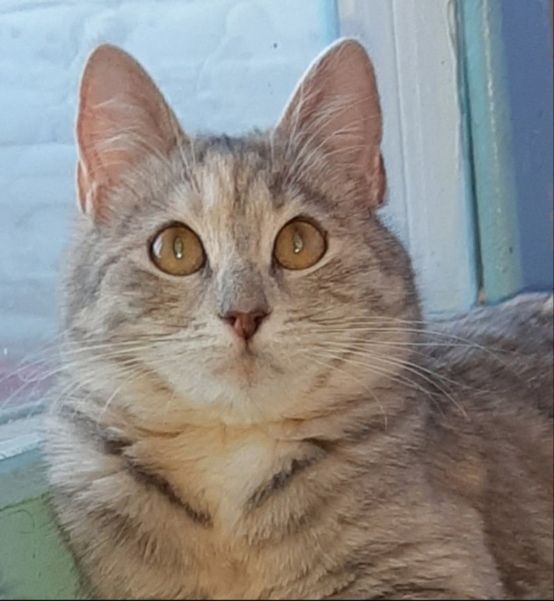 #_.    ,    ,    ... - 2