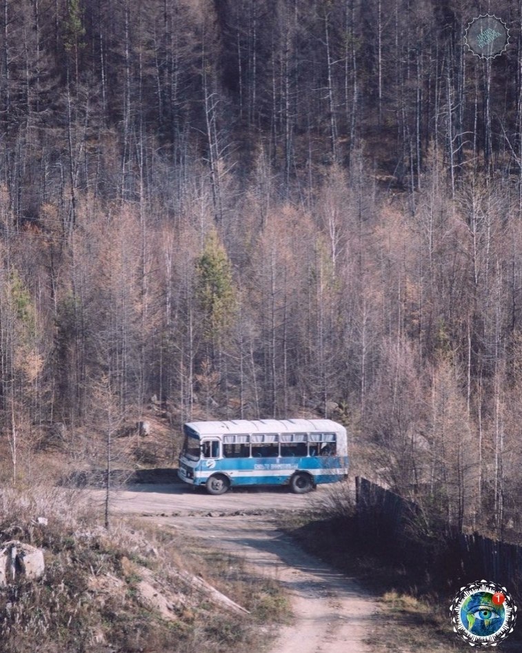ep co  - co https://fotostrana.ru/away?to=/sl/YqR3atplant - 4