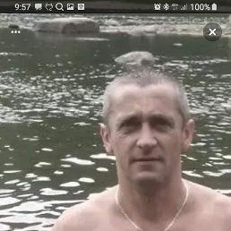 , , 50 